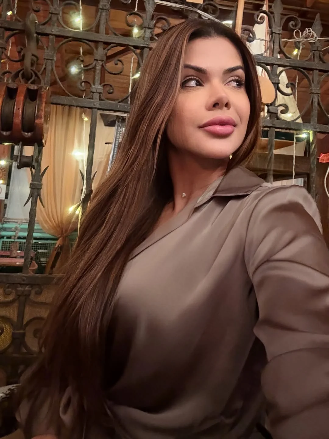 Retrato de Viviane Andrade de blusa de cetim marrom e cabelo longo, diante de um portão de ferro trabalhado em um restaurante